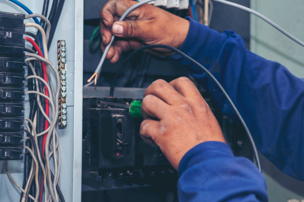 Best Electric Panel Repair  in West Monroe, MI